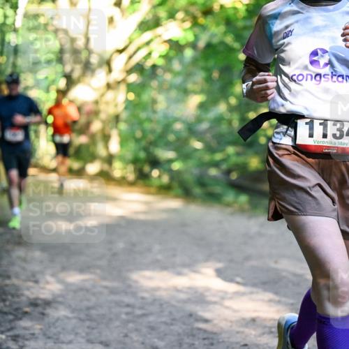 28.09.2025 - 33. Volkslauf durch das schöne Alstertal Dr. Thomas Lammeyer http://msf.ph/oto/8952042 28.09.2025 10:20:00 Laufen 1134 meine-sportfotos.de