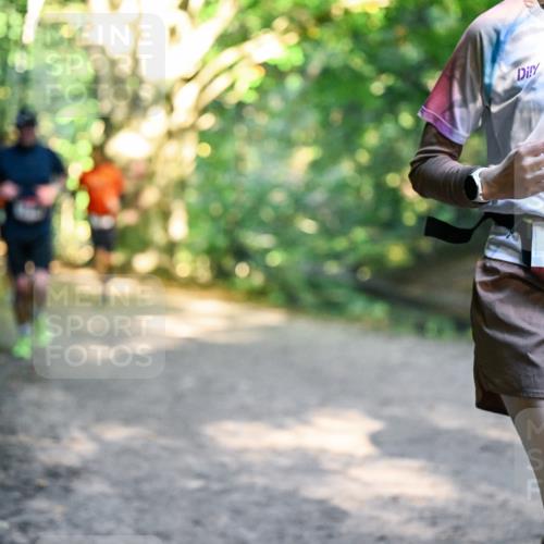 28.09.2025 - 33. Volkslauf durch das schöne Alstertal Dr. Thomas Lammeyer http://msf.ph/oto/8952043 28.09.2025 10:20:01 Laufen 1910, 1134 meine-sportfotos.de