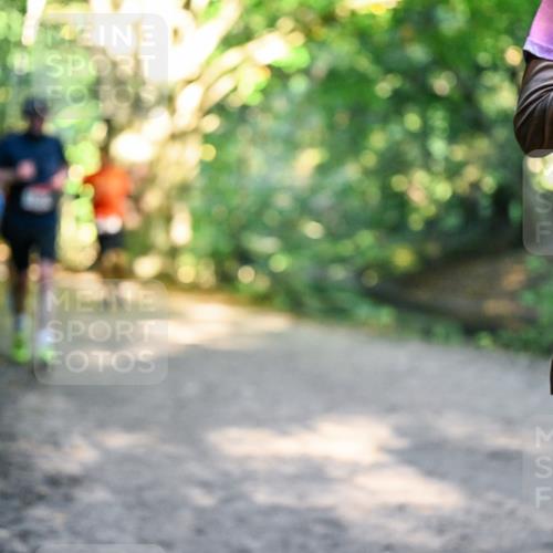 28.09.2025 - 33. Volkslauf durch das schöne Alstertal Dr. Thomas Lammeyer http://msf.ph/oto/8952044 28.09.2025 10:20:01 Laufen 1 meine-sportfotos.de