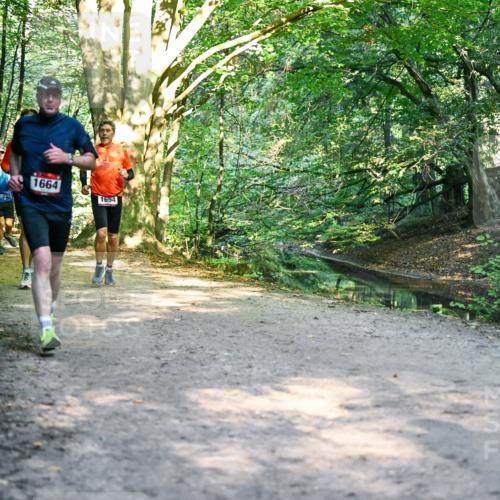 28.09.2025 - 33. Volkslauf durch das schöne Alstertal Dr. Thomas Lammeyer http://msf.ph/oto/8952045 28.09.2025 10:20:01 Laufen 1706, 1664, 1694 meine-sportfotos.de