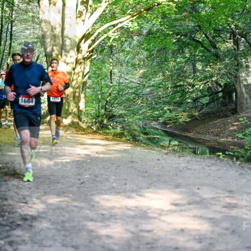 28.09.2025 - 33. Volkslauf durch das schöne Alstertal Dr. Thomas Lammeyer http://msf.ph/oto/8952046 28.09.2025 10:20:01 Laufen 706, 795, 1664, 1694 meine-sportfotos.de