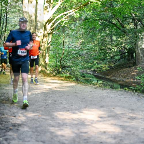 28.09.2025 - 33. Volkslauf durch das schöne Alstertal Dr. Thomas Lammeyer http://msf.ph/oto/8952048 28.09.2025 10:20:01 Laufen 1706, 1664, 1694 meine-sportfotos.de