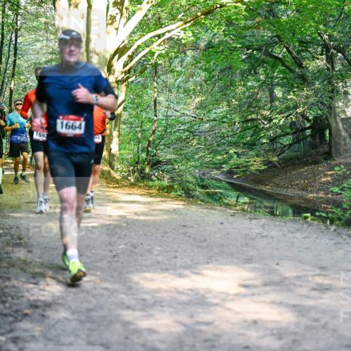 28.09.2025 - 33. Volkslauf durch das schöne Alstertal Dr. Thomas Lammeyer http://msf.ph/oto/8952050 28.09.2025 10:20:02 Laufen 1706, 1693, 1664 meine-sportfotos.de