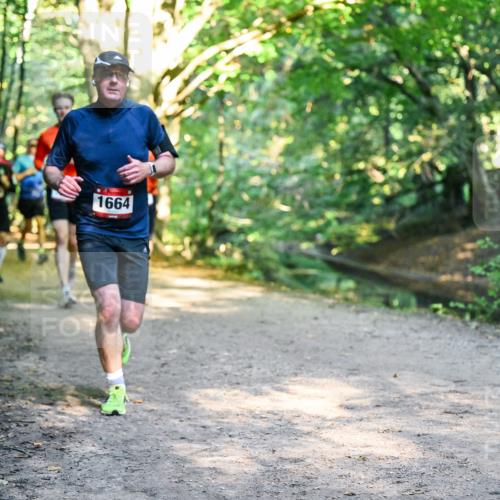28.09.2025 - 33. Volkslauf durch das schöne Alstertal Dr. Thomas Lammeyer http://msf.ph/oto/8952051 28.09.2025 10:20:02 Laufen 1664 meine-sportfotos.de