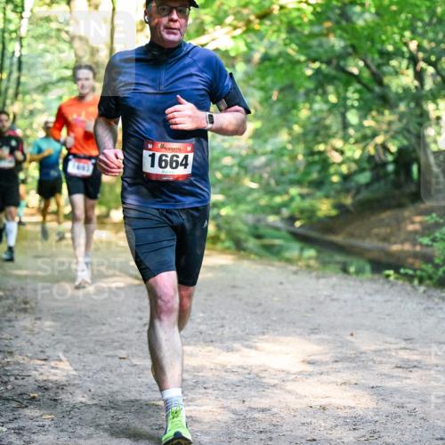 28.09.2025 - 33. Volkslauf durch das schöne Alstertal Dr. Thomas Lammeyer http://msf.ph/oto/8952056 28.09.2025 10:20:03 Laufen 1653, 1664 meine-sportfotos.de