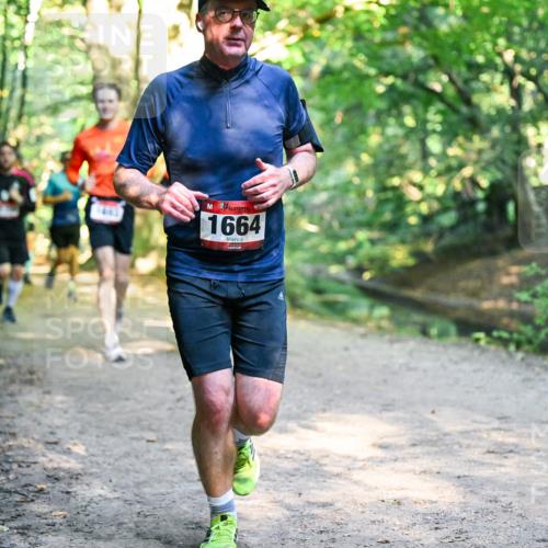 28.09.2025 - 33. Volkslauf durch das schöne Alstertal Dr. Thomas Lammeyer http://msf.ph/oto/8952057 28.09.2025 10:20:03 Laufen 1664 meine-sportfotos.de