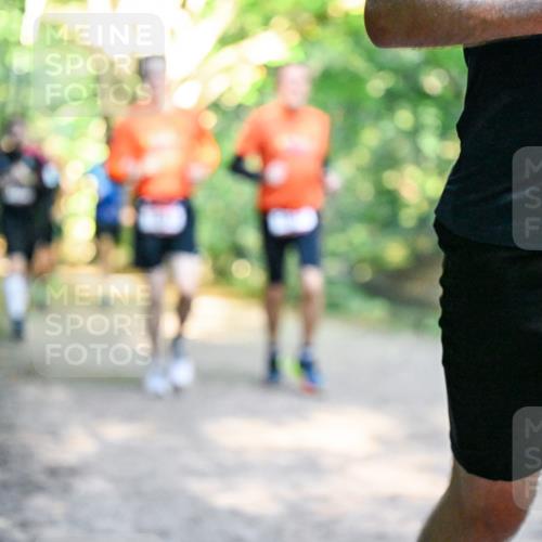 28.09.2025 - 33. Volkslauf durch das schöne Alstertal Dr. Thomas Lammeyer http://msf.ph/oto/8952061 28.09.2025 10:20:04 Laufen 16 meine-sportfotos.de