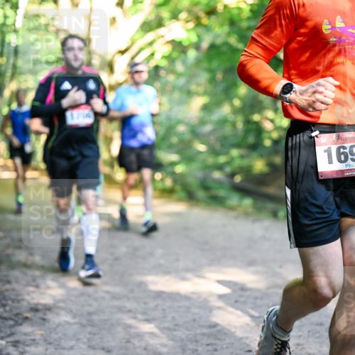 28.09.2025 - 33. Volkslauf durch das schöne Alstertal Dr. Thomas Lammeyer http://msf.ph/oto/8952071 28.09.2025 10:20:06 Laufen 700, 1693 meine-sportfotos.de