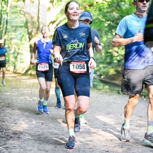 28.09.2025 - 33. Volkslauf durch das schöne Alstertal Dr. Thomas Lammeyer http://msf.ph/oto/8952084 28.09.2025 10:20:08 Laufen 1029, 50, 561, 1058 meine-sportfotos.de