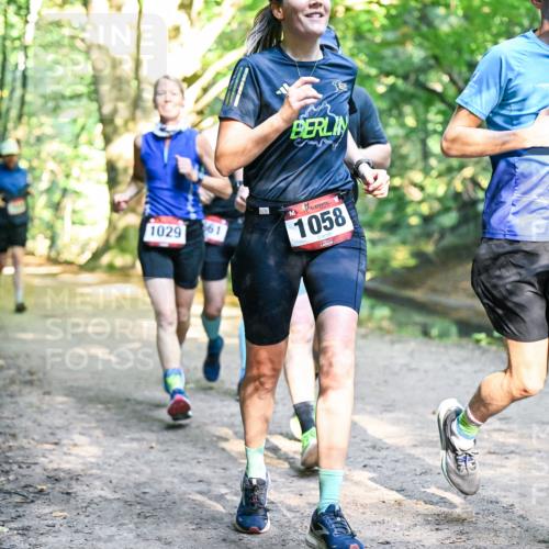 28.09.2025 - 33. Volkslauf durch das schöne Alstertal Dr. Thomas Lammeyer http://msf.ph/oto/8952085 28.09.2025 10:20:08 Laufen 1029, 961, 1058 meine-sportfotos.de