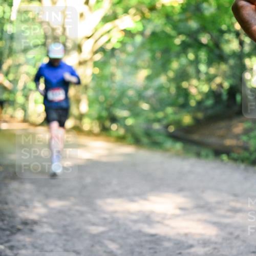 28.09.2025 - 33. Volkslauf durch das schöne Alstertal Dr. Thomas Lammeyer http://msf.ph/oto/8952097 28.09.2025 10:20:10 Laufen 160 meine-sportfotos.de