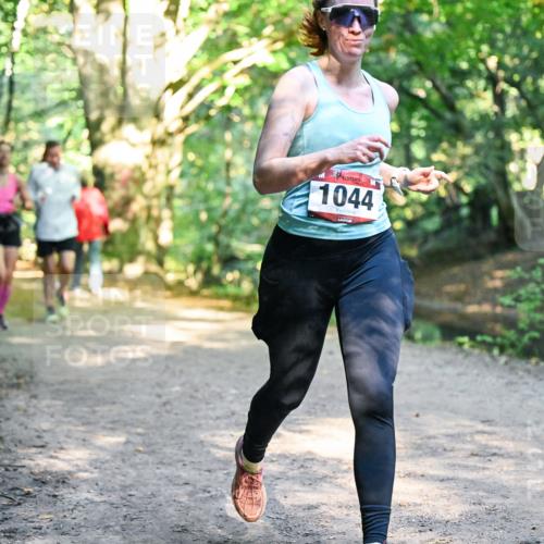 28.09.2025 - 33. Volkslauf durch das schöne Alstertal Dr. Thomas Lammeyer http://msf.ph/oto/8952128 28.09.2025 10:20:22 Laufen 1044 meine-sportfotos.de