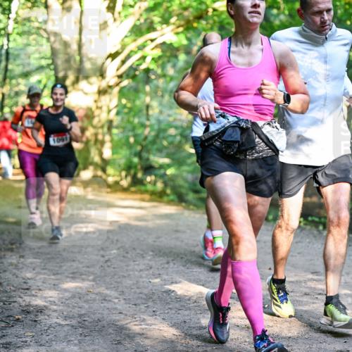 28.09.2025 - 33. Volkslauf durch das schöne Alstertal Dr. Thomas Lammeyer http://msf.ph/oto/8952142 28.09.2025 10:20:25 Laufen  meine-sportfotos.de