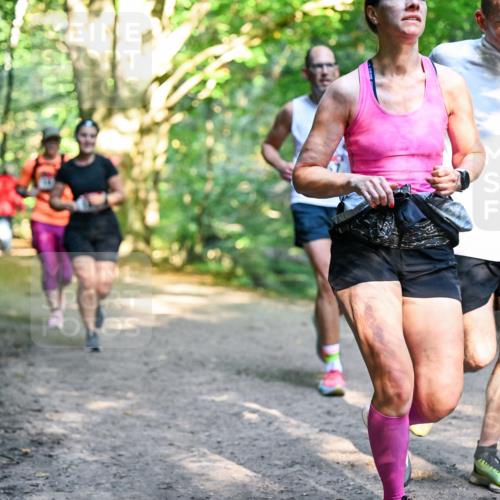 28.09.2025 - 33. Volkslauf durch das schöne Alstertal Dr. Thomas Lammeyer http://msf.ph/oto/8952143 28.09.2025 10:20:26 Laufen  meine-sportfotos.de