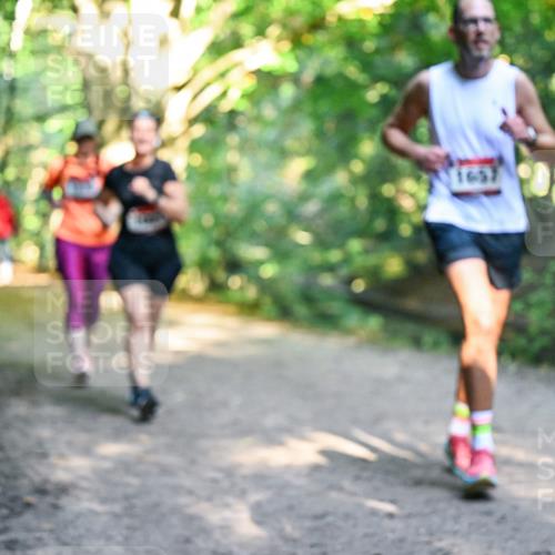 28.09.2025 - 33. Volkslauf durch das schöne Alstertal Dr. Thomas Lammeyer http://msf.ph/oto/8952144 28.09.2025 10:20:26 Laufen  meine-sportfotos.de