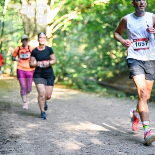 28.09.2025 - 33. Volkslauf durch das schöne Alstertal Dr. Thomas Lammeyer http://msf.ph/oto/8952145 28.09.2025 10:20:26 Laufen 1657 meine-sportfotos.de