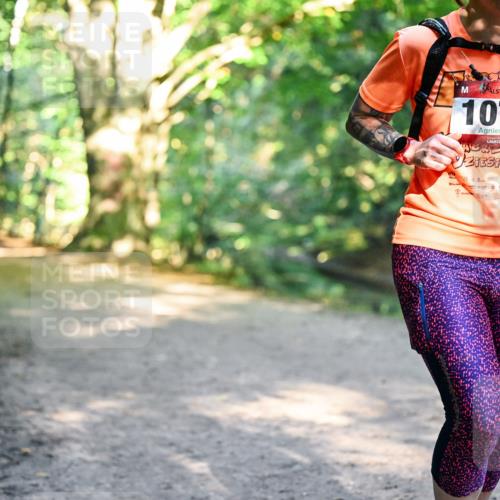28.09.2025 - 33. Volkslauf durch das schöne Alstertal Dr. Thomas Lammeyer http://msf.ph/oto/8952159 28.09.2025 10:20:29 Laufen 1070 meine-sportfotos.de