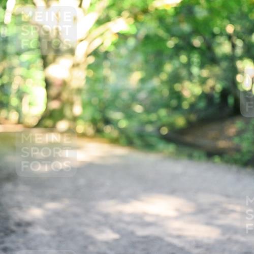 28.09.2025 - 33. Volkslauf durch das schöne Alstertal Dr. Thomas Lammeyer http://msf.ph/oto/8952162 28.09.2025 10:20:29 Laufen  meine-sportfotos.de
