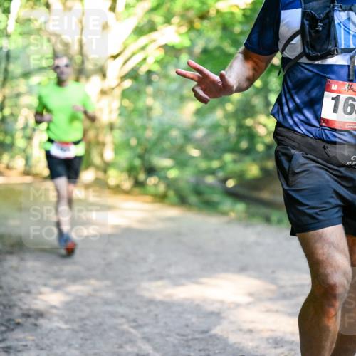 28.09.2025 - 33. Volkslauf durch das schöne Alstertal Dr. Thomas Lammeyer http://msf.ph/oto/8952182 28.09.2025 10:20:38 Laufen 1681 meine-sportfotos.de