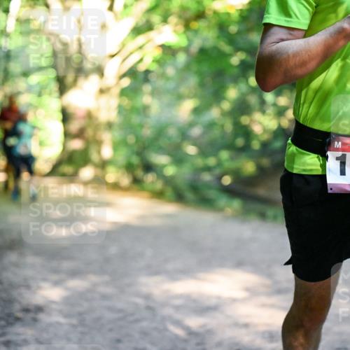 28.09.2025 - 33. Volkslauf durch das schöne Alstertal Dr. Thomas Lammeyer http://msf.ph/oto/8952196 28.09.2025 10:20:40 Laufen 1659 meine-sportfotos.de