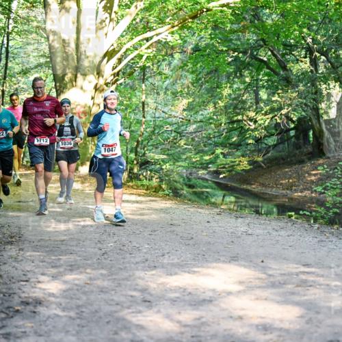 28.09.2025 - 33. Volkslauf durch das schöne Alstertal Dr. Thomas Lammeyer http://msf.ph/oto/8952203 28.09.2025 10:20:42 Laufen 1836, 1722, 1712, 1036, 1047 meine-sportfotos.de