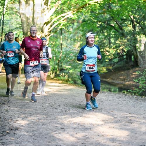 28.09.2025 - 33. Volkslauf durch das schöne Alstertal Dr. Thomas Lammeyer http://msf.ph/oto/8952212 28.09.2025 10:20:43 Laufen 1722, 1712, 1036, 1047 meine-sportfotos.de