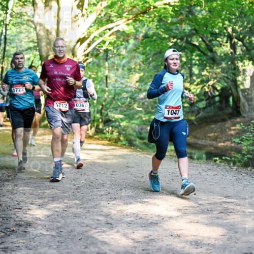 28.09.2025 - 33. Volkslauf durch das schöne Alstertal Dr. Thomas Lammeyer http://msf.ph/oto/8952213 28.09.2025 10:20:43 Laufen 1722, 19, 1712, 1036, 1047 meine-sportfotos.de