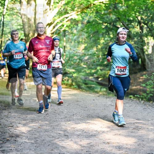 28.09.2025 - 33. Volkslauf durch das schöne Alstertal Dr. Thomas Lammeyer http://msf.ph/oto/8952215 28.09.2025 10:20:44 Laufen 1722, 1712, 1036, 1047 meine-sportfotos.de