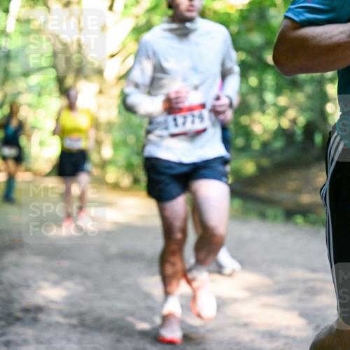 28.09.2025 - 33. Volkslauf durch das schöne Alstertal Dr. Thomas Lammeyer http://msf.ph/oto/8952233 28.09.2025 10:20:47 Laufen 1779 meine-sportfotos.de