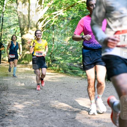 28.09.2025 - 33. Volkslauf durch das schöne Alstertal Dr. Thomas Lammeyer http://msf.ph/oto/8952234 28.09.2025 10:20:47 Laufen 109, 77, 1039, 1035 meine-sportfotos.de