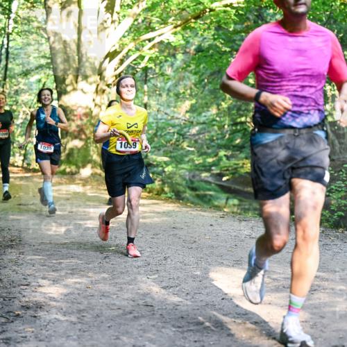 28.09.2025 - 33. Volkslauf durch das schöne Alstertal Dr. Thomas Lammeyer http://msf.ph/oto/8952236 28.09.2025 10:20:48 Laufen 1099, 1035, 10, 9 meine-sportfotos.de