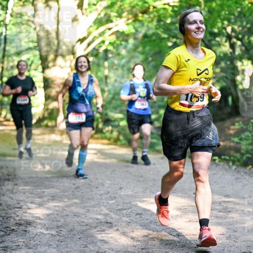 28.09.2025 - 33. Volkslauf durch das schöne Alstertal Dr. Thomas Lammeyer http://msf.ph/oto/8952246 28.09.2025 10:20:49 Laufen 1035, 1039 meine-sportfotos.de