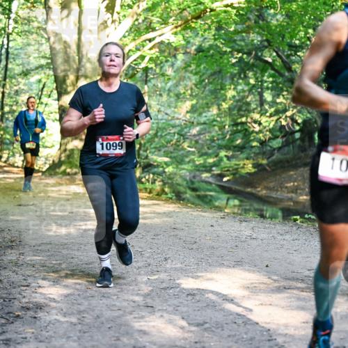 28.09.2025 - 33. Volkslauf durch das schöne Alstertal Dr. Thomas Lammeyer http://msf.ph/oto/8952257 28.09.2025 10:20:51 Laufen 16, 1970, 1099, 1035 meine-sportfotos.de