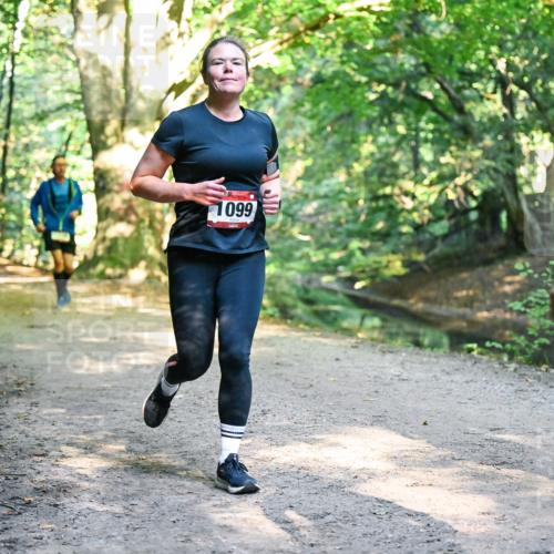 28.09.2025 - 33. Volkslauf durch das schöne Alstertal Dr. Thomas Lammeyer http://msf.ph/oto/8952259 28.09.2025 10:20:51 Laufen 1099 meine-sportfotos.de