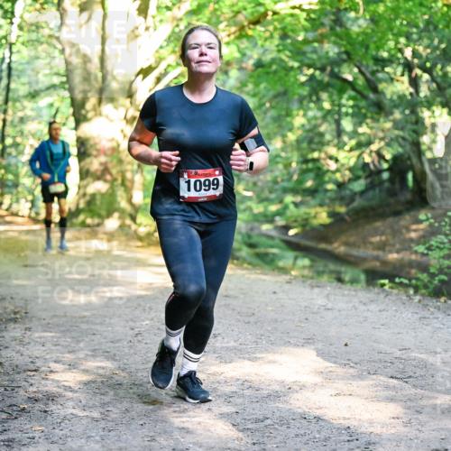28.09.2025 - 33. Volkslauf durch das schöne Alstertal Dr. Thomas Lammeyer http://msf.ph/oto/8952260 28.09.2025 10:20:51 Laufen 1099 meine-sportfotos.de