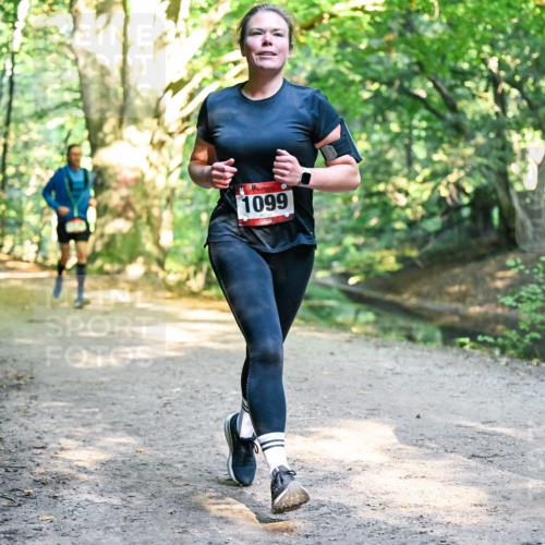 28.09.2025 - 33. Volkslauf durch das schöne Alstertal Dr. Thomas Lammeyer http://msf.ph/oto/8952261 28.09.2025 10:20:52 Laufen 1099 meine-sportfotos.de