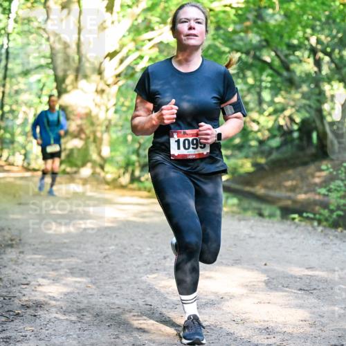 28.09.2025 - 33. Volkslauf durch das schöne Alstertal Dr. Thomas Lammeyer http://msf.ph/oto/8952262 28.09.2025 10:20:52 Laufen 1095 meine-sportfotos.de
