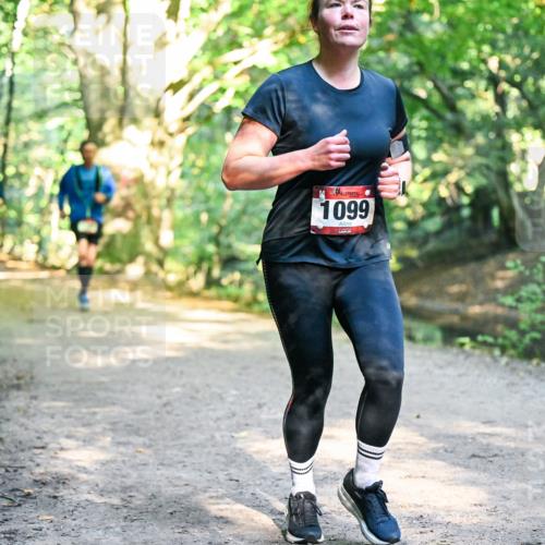 28.09.2025 - 33. Volkslauf durch das schöne Alstertal Dr. Thomas Lammeyer http://msf.ph/oto/8952263 28.09.2025 10:20:52 Laufen 1099 meine-sportfotos.de
