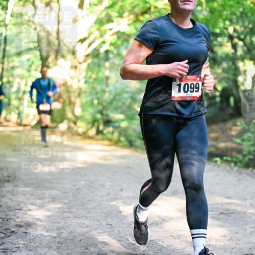 28.09.2025 - 33. Volkslauf durch das schöne Alstertal Dr. Thomas Lammeyer http://msf.ph/oto/8952264 28.09.2025 10:20:52 Laufen 1099 meine-sportfotos.de