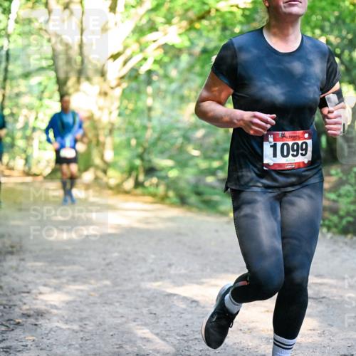 28.09.2025 - 33. Volkslauf durch das schöne Alstertal Dr. Thomas Lammeyer http://msf.ph/oto/8952265 28.09.2025 10:20:52 Laufen 1099 meine-sportfotos.de