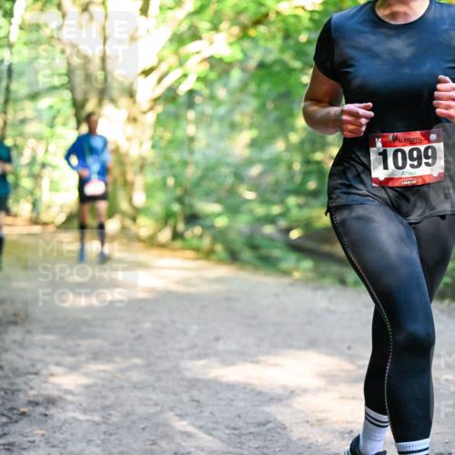 28.09.2025 - 33. Volkslauf durch das schöne Alstertal Dr. Thomas Lammeyer http://msf.ph/oto/8952266 28.09.2025 10:20:52 Laufen 1099 meine-sportfotos.de