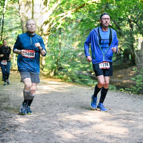 28.09.2025 - 33. Volkslauf durch das schöne Alstertal Dr. Thomas Lammeyer http://msf.ph/oto/8952280 28.09.2025 10:20:55 Laufen 1056, 1688, 1770 meine-sportfotos.de