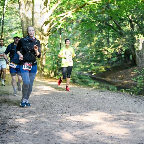 28.09.2025 - 33. Volkslauf durch das schöne Alstertal Dr. Thomas Lammeyer http://msf.ph/oto/8952294 28.09.2025 10:20:58 Laufen 1697, 1056, 201, 1051 meine-sportfotos.de