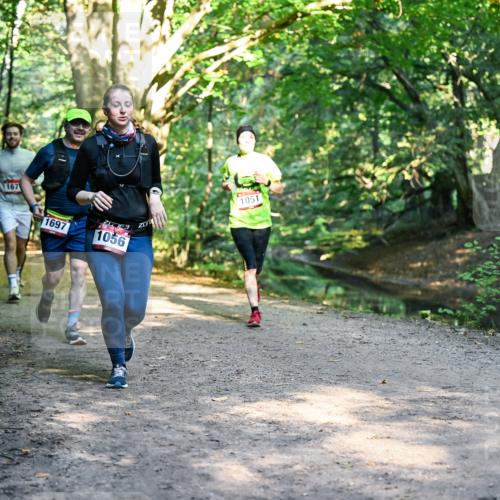 28.09.2025 - 33. Volkslauf durch das schöne Alstertal Dr. Thomas Lammeyer http://msf.ph/oto/8952296 28.09.2025 10:20:58 Laufen 167, 1697, 1056, 1051 meine-sportfotos.de
