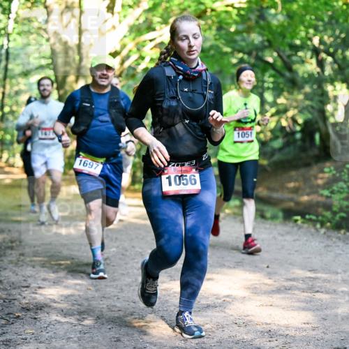 28.09.2025 - 33. Volkslauf durch das schöne Alstertal Dr. Thomas Lammeyer http://msf.ph/oto/8952304 28.09.2025 10:20:59 Laufen 167, 1697, 1056, 1051 meine-sportfotos.de
