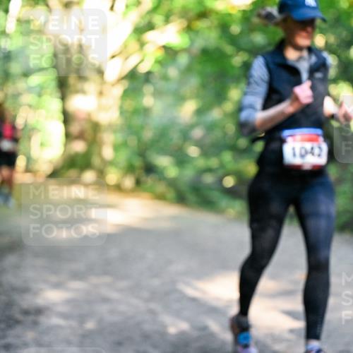 28.09.2025 - 33. Volkslauf durch das schöne Alstertal Dr. Thomas Lammeyer http://msf.ph/oto/8952325 28.09.2025 10:21:03 Laufen 1042 meine-sportfotos.de