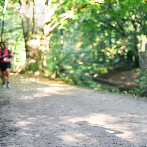 28.09.2025 - 33. Volkslauf durch das schöne Alstertal Dr. Thomas Lammeyer http://msf.ph/oto/8952326 28.09.2025 10:21:03 Laufen  meine-sportfotos.de
