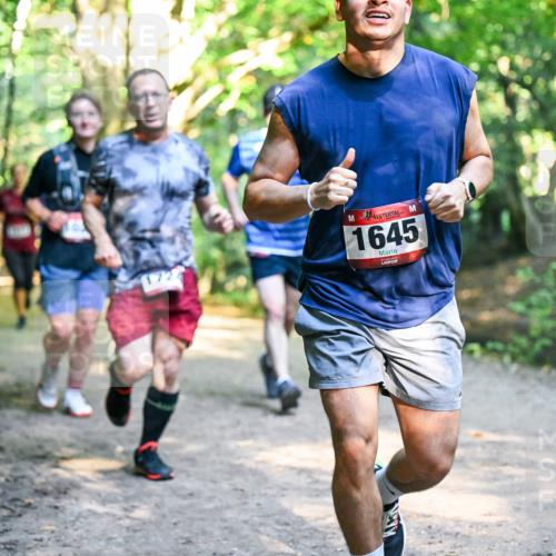 28.09.2025 - 33. Volkslauf durch das schöne Alstertal Dr. Thomas Lammeyer http://msf.ph/oto/8952346 28.09.2025 10:21:09 Laufen 172, 1645 meine-sportfotos.de