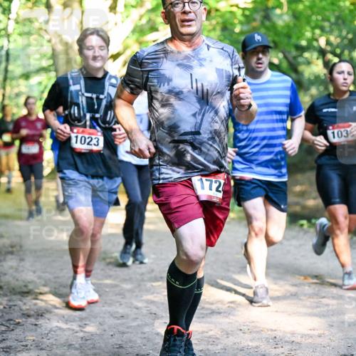 28.09.2025 - 33. Volkslauf durch das schöne Alstertal Dr. Thomas Lammeyer http://msf.ph/oto/8952351 28.09.2025 10:21:10 Laufen 1023, 172, 1036 meine-sportfotos.de