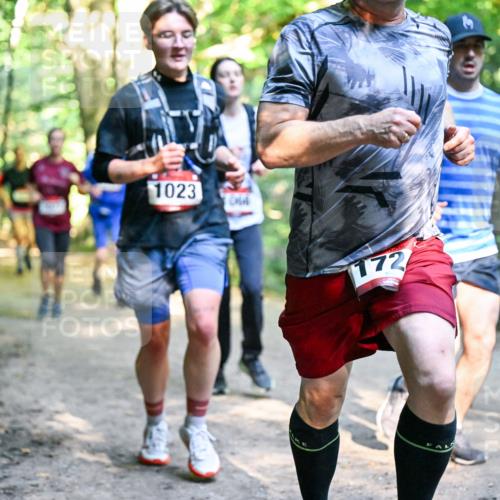 28.09.2025 - 33. Volkslauf durch das schöne Alstertal Dr. Thomas Lammeyer http://msf.ph/oto/8952354 28.09.2025 10:21:10 Laufen 1023, 172, 1030 meine-sportfotos.de
